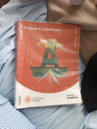 Lingua e literarura 1 bachillerato