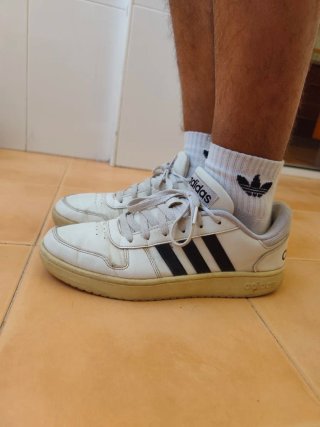 Zapatillas Adidas Hoops 3.0 Low Talla 44.5