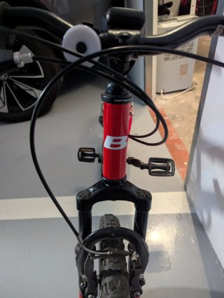 Bicicleta infantil B-PRO 20 pulgadas