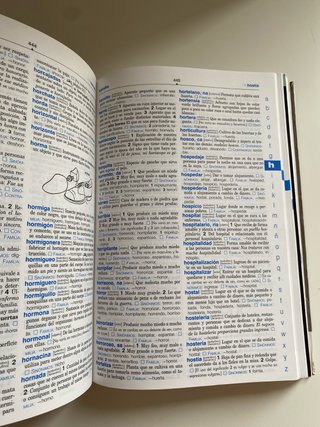 Diccionario lengua española primaria