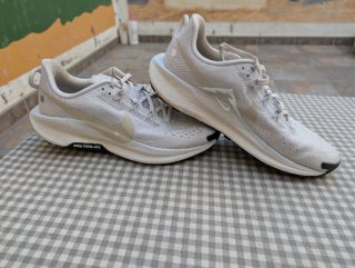 Nike Pegasus Trail 5 - 42.5