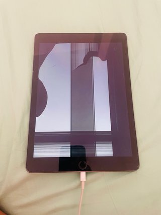 iPad 2 Argento per parti
