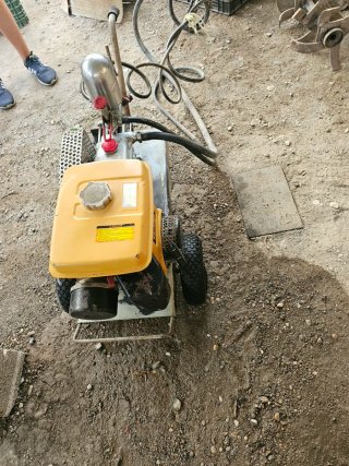 Sulfatadora Robin EY20