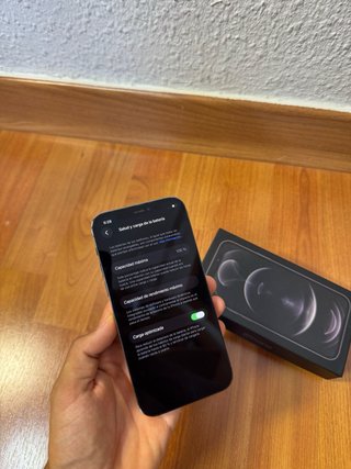 iPhone 12 Pro Gris