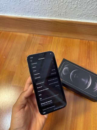 iPhone 12 Pro Gris