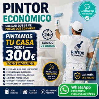 Pintor economico