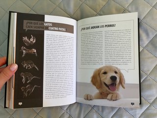 El Libro de los Porqués