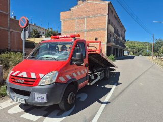 Grua Iveco Daily 2007