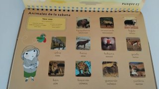 Imaginario diccionario en imágenes