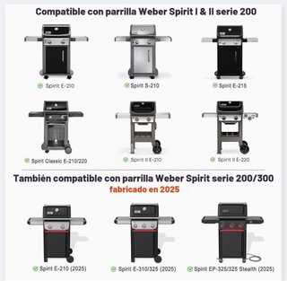 Griglia in ghisa per barbecue Weber Spirit E/S 210 220
