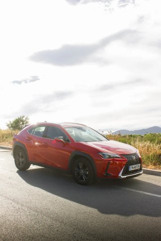 Lexus UX 300h Hybrid | 2025 | 18.000 km