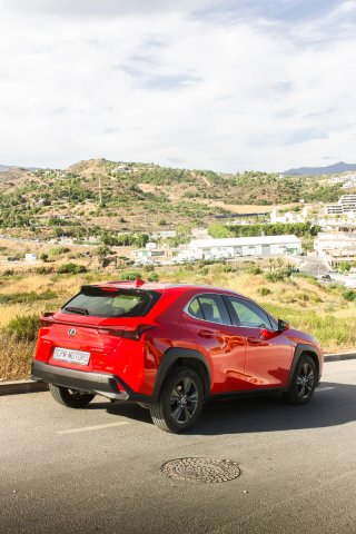 Lexus UX 300h Hybrid | 2025 | 18.000 km