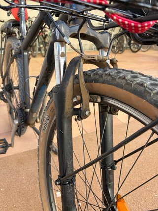 Bicicleta Orbea con cesta y portabultos