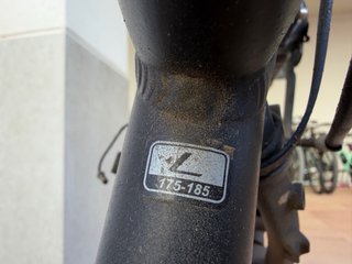 Bicicleta Orbea con cesta y portabultos