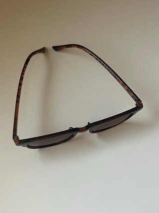 Gafas de sol estilo tortuga