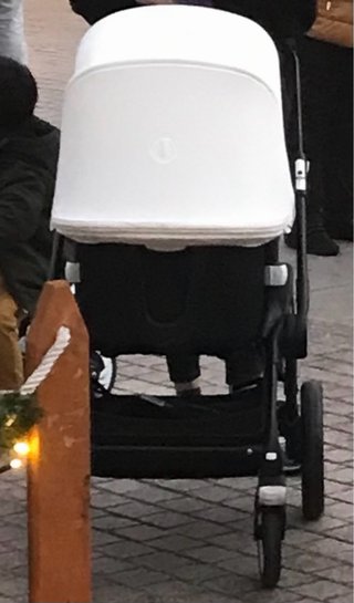Silla y capazo Bugaboo Fox 3 con transportin