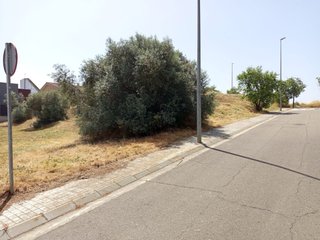 Venta terreno en Tárrega - Venda terreny a Tàrrega
