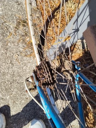 Bicicleta de carretera azul