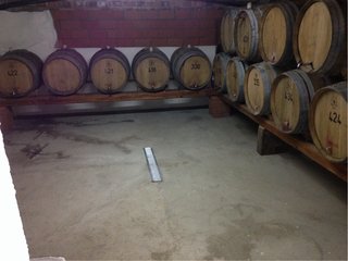 Botas de vino