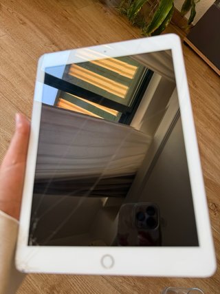 iPad 6ta Generación Plateado
