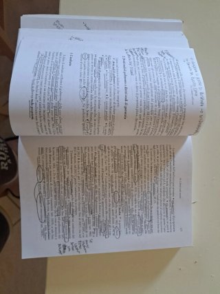 Diritto privato Linee essenziali