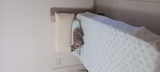 Due letti singoli da 90 cm