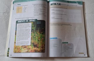 Options Eso 4 Wb Spa (sin Coleccion)