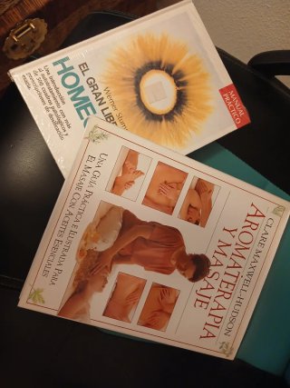 El Gran Libro de la Homeopatia Una introducción...