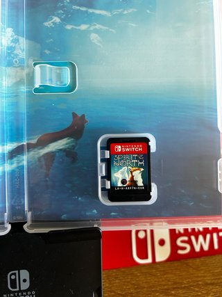 Juego Nintendo Switch Spirit of the North