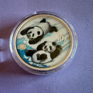 Moneda Plata Panda 30g 2022 Color 10 Yuan