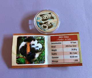 Moneda Plata Panda 30g 2022 Color 10 Yuan