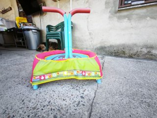Cama elástica infantil Patrulla Canina