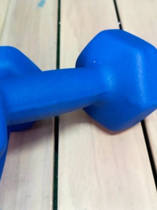 SONGMICS SYL65BU Pack de mancuernas de 2,5 kg Azul