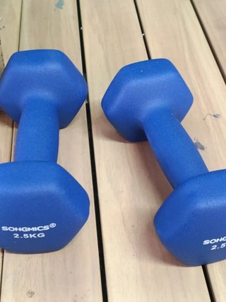 SONGMICS SYL65BU Pack de mancuernas de 2,5 kg Azul