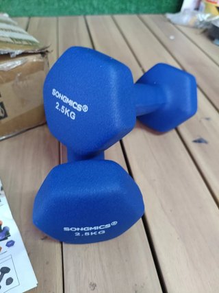 SONGMICS SYL65BU Pack de mancuernas de 2,5 kg Azul