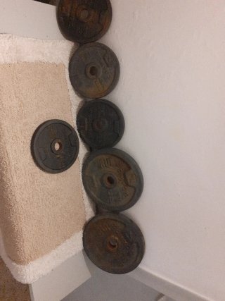 Discos de pesas Domyos