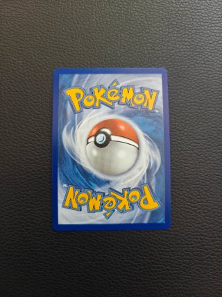 3 Cartas Pokémon Treecko, Torchic, Mudkip. Hoenn.