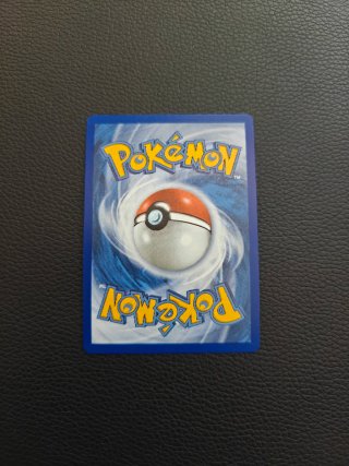 3 Cartas Pokémon Treecko, Torchic, Mudkip. Hoenn.