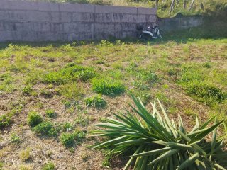 finca rustica muy bien situada