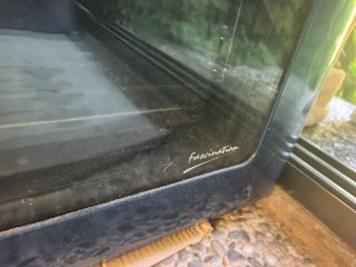 Horno Fagor 60cm