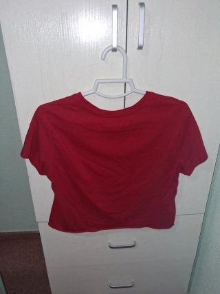 Camiseta crop roja con margaritas