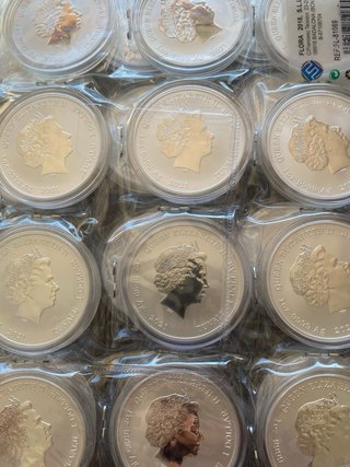 Monedas de Plata Pura 1 oz