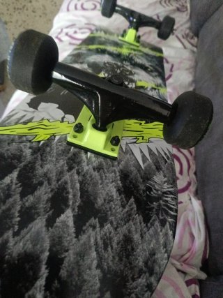 Skate Oxelo Lobo y Bosque