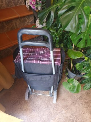 CARRO DE LA COMPRA CON RUEDAS