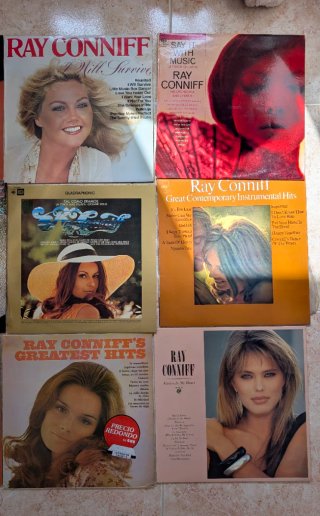 Lote 23 Vinilos Ray Conniff Easy Listening