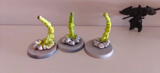 Venatari