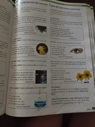 Lengua castellana y literatura 3, ESO