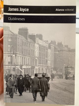 Dublineses