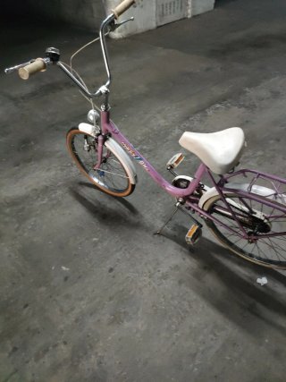 Bicicleta bh Rosa