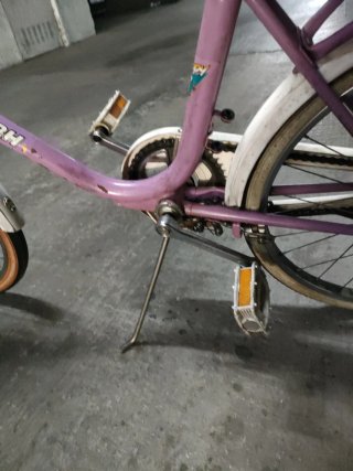 Bicicleta bh Rosa